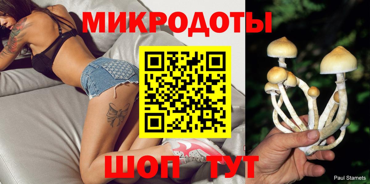 Псилоцибиновые грибы Psilocybine cubensis  Вход с VPN  Городец 