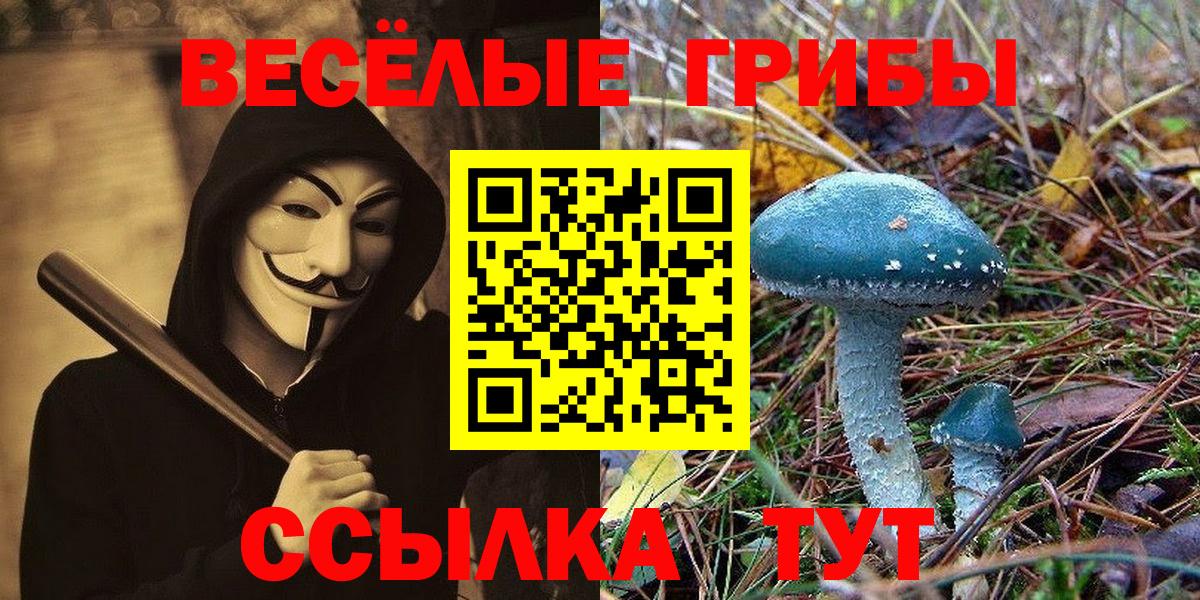 Галлюциногенные грибы мухоморы Городец